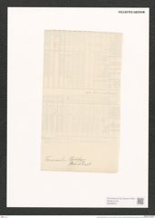 Stauroneis finmarchica Cl. et Grun. (de-Toni-Nr.: Genus 6, Species 922) Zeichnungen Sammlung Grunow (NHMW-BOT-W0368678)